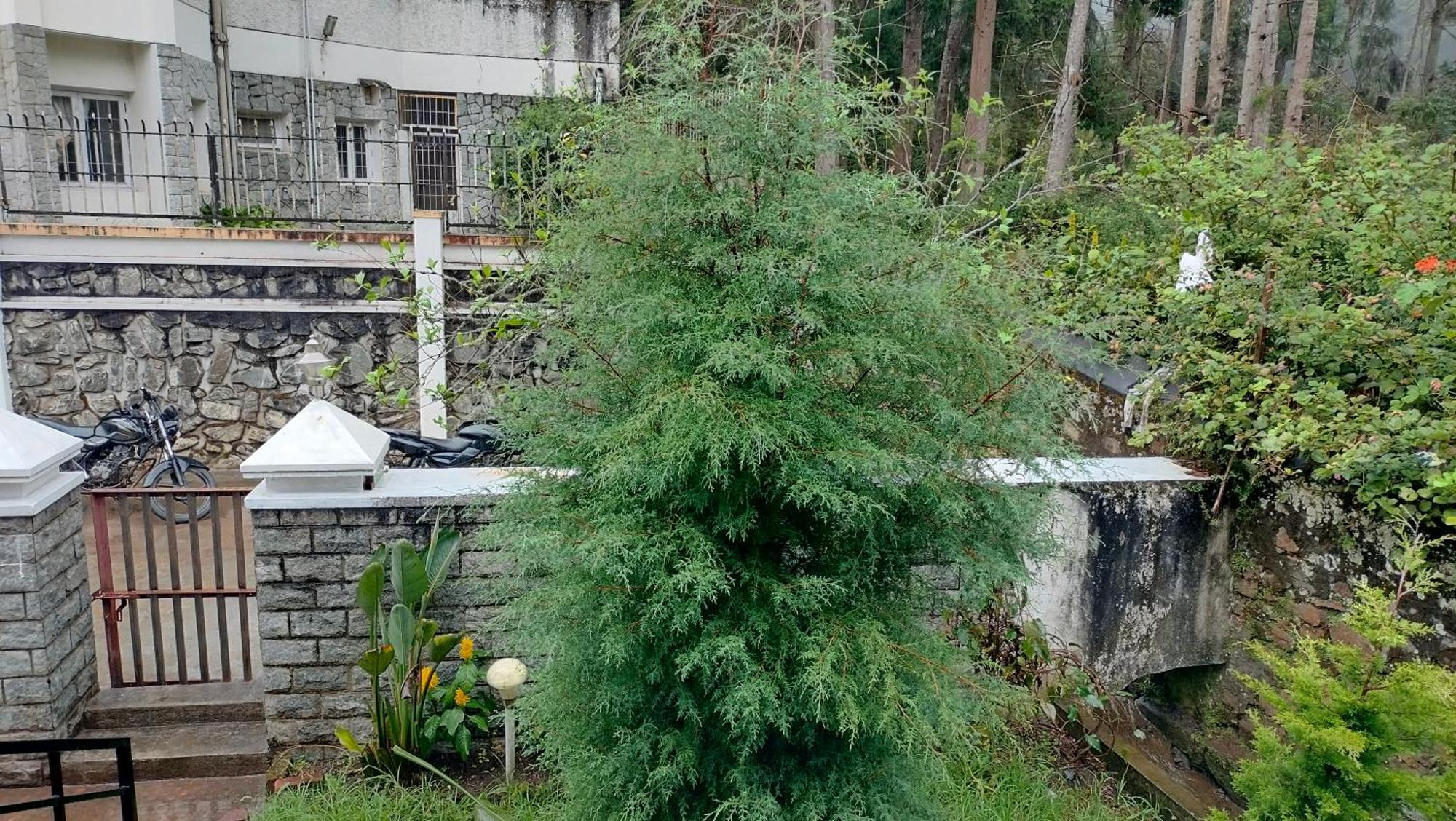 Kodai King Suite Kodaikanal Bagian luar foto