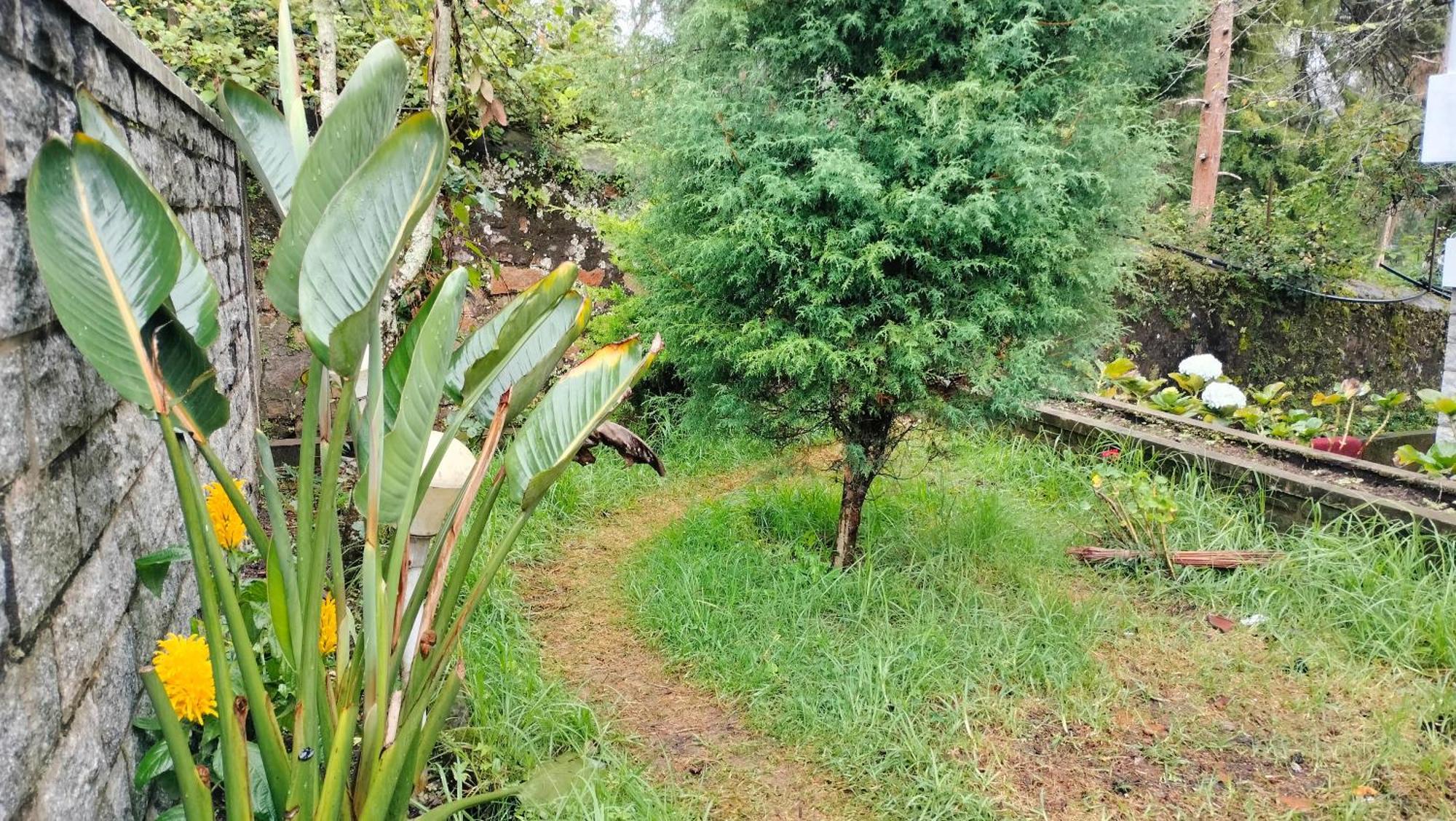 Kodai King Suite Kodaikanal Bagian luar foto